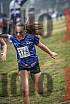 Fotos de la llegada del cross de 1500 m