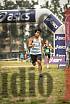 Fotos de la llegada del cross de 8000 m