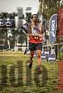 Fotos de la llegada del cross de 8000 m