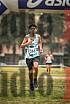 Fotos de la llegada del cross de 6000 m