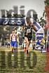 Fotos de la llegada del cross de 10.000 m