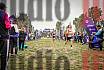 Fotos de la llegada del cross de 10.000 m