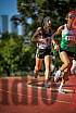 Fotos de los 5000 m llanos