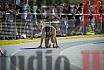 Fotos de los 400 m llanos de mujeres