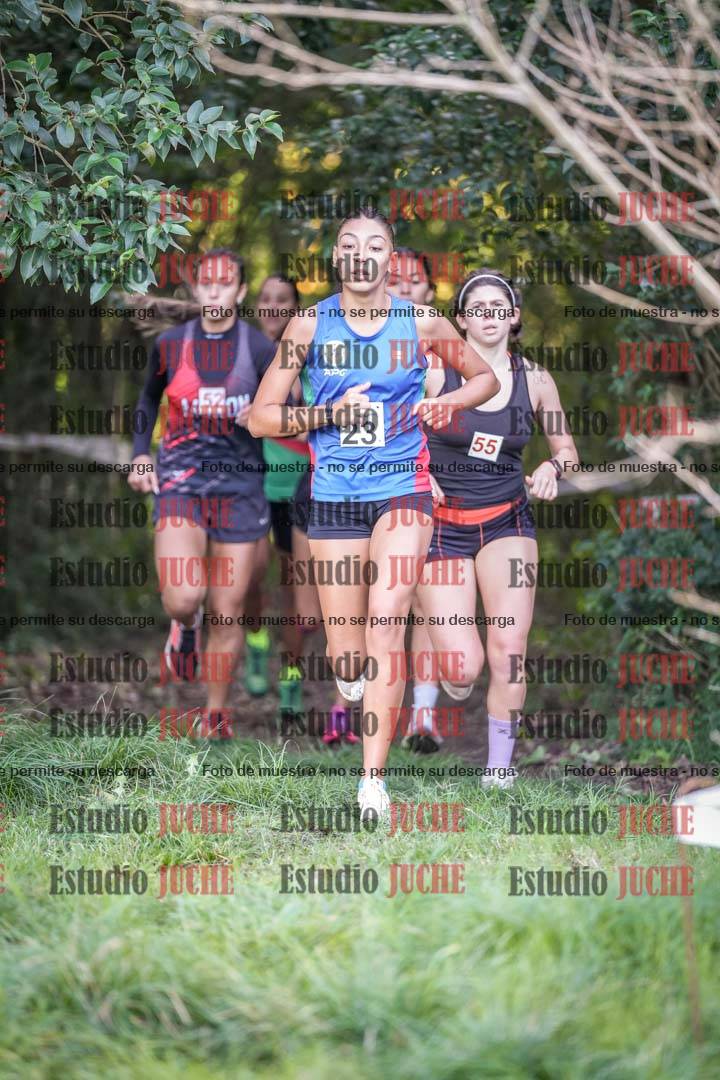 Fotos en el circuito