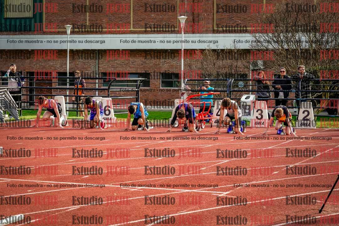 Fotos de los 110 m con vallas de varones