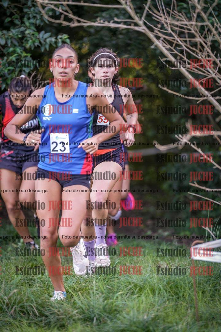 Fotos en el circuito
