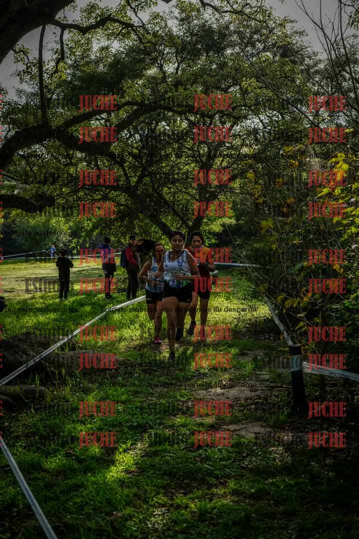Fotos en el circuito