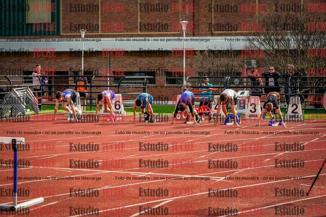 Fotos de los 110 m con vallas de varones
