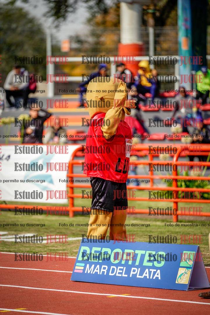 Fotos de algunos extras y podios del día 1