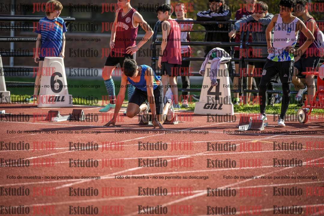 Fotos de los 110 m con vallas de varones