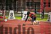 Fotos de los 110 m con vallas de varones - decatl&oacute;n 6