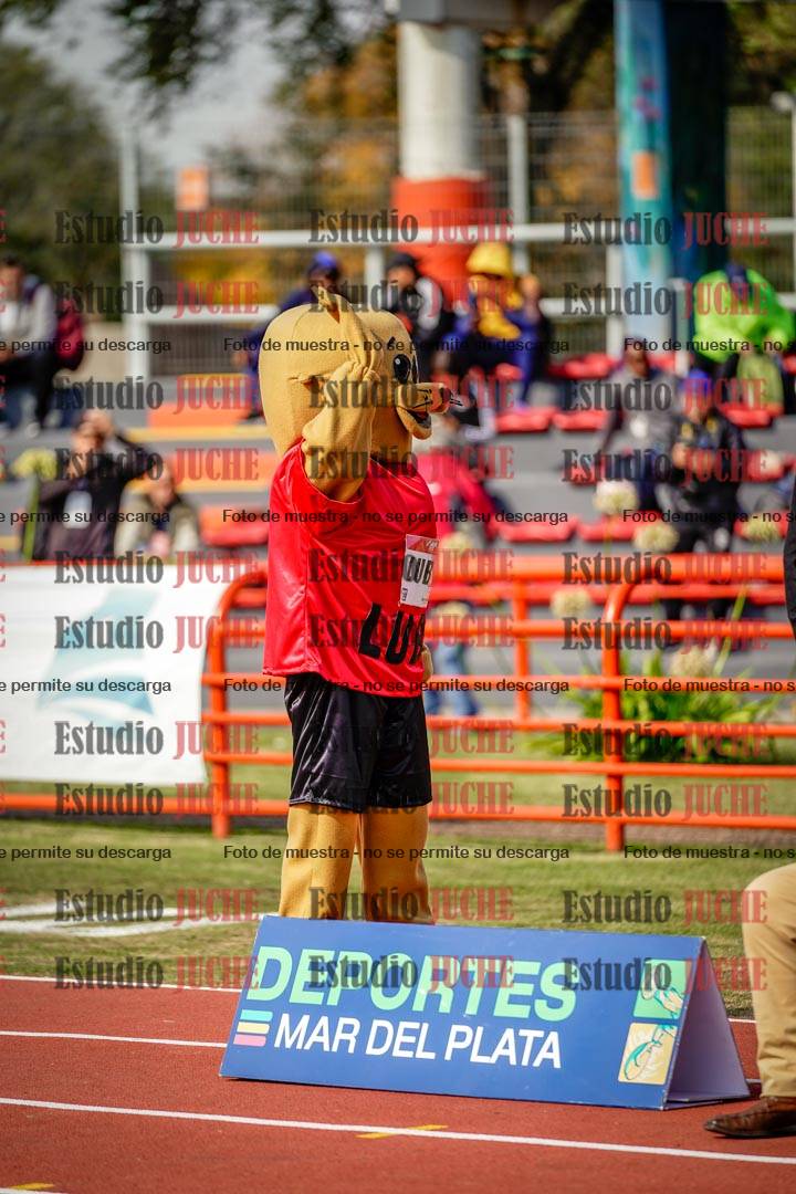 Fotos de algunos extras y podios del día 1