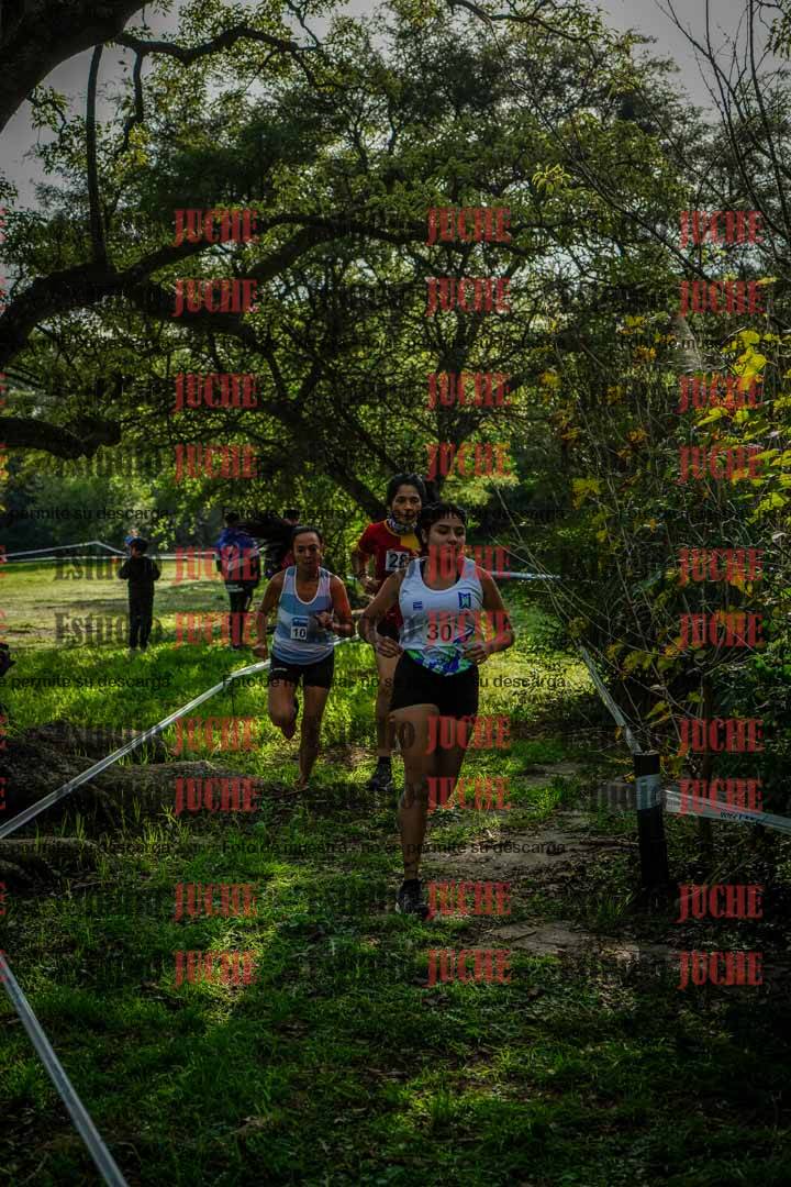 Fotos en el circuito