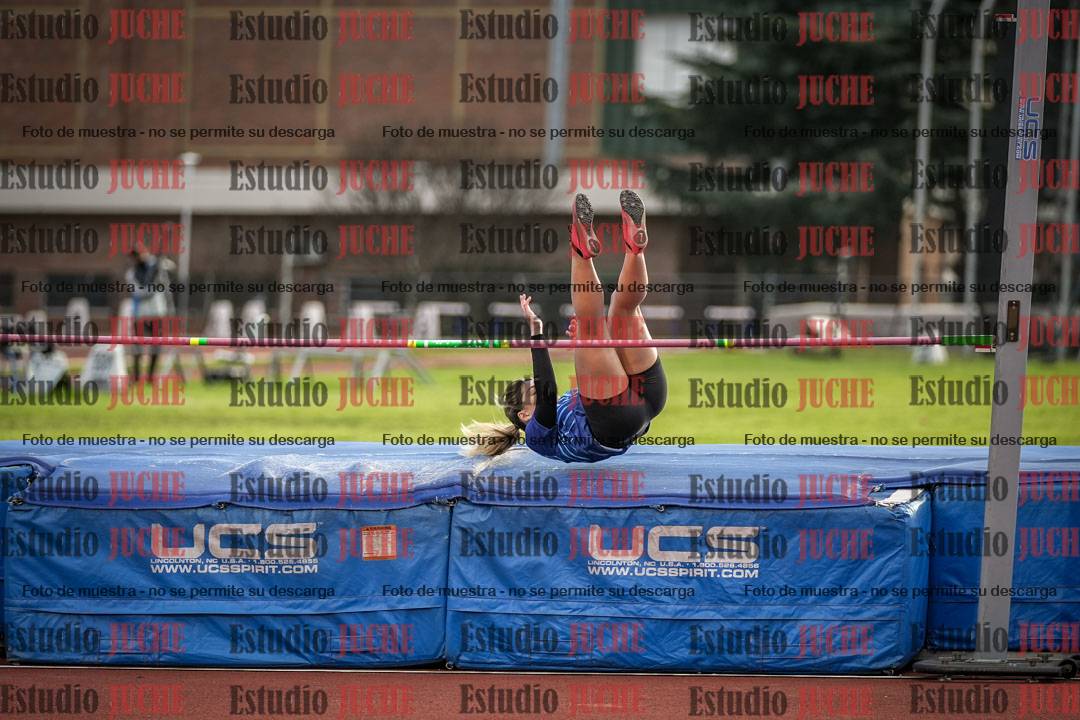 Fotos del salto en alto - todos los grupos