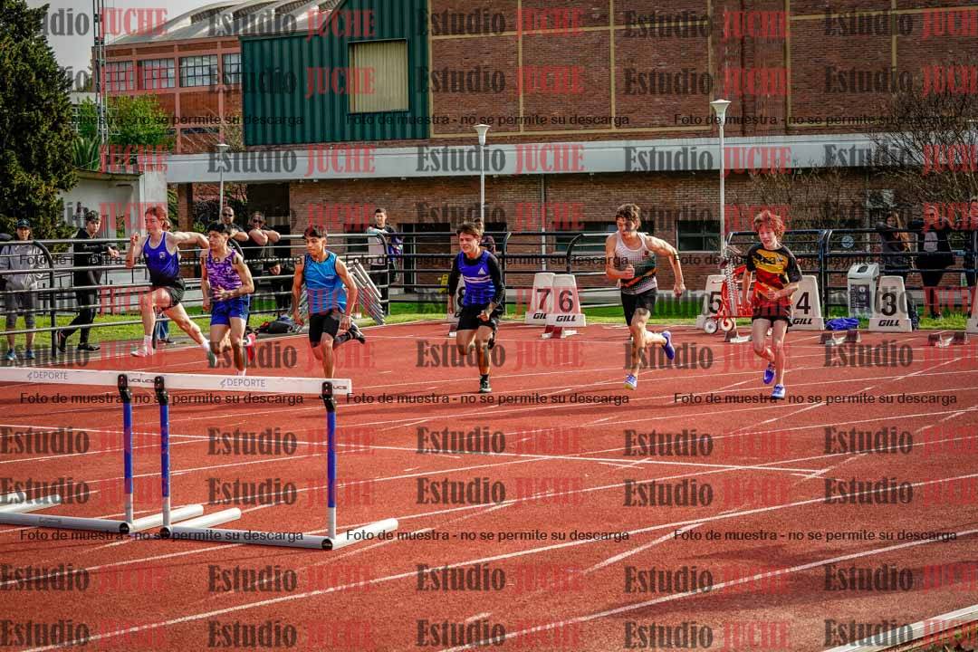 Fotos de los 110 m con vallas de varones