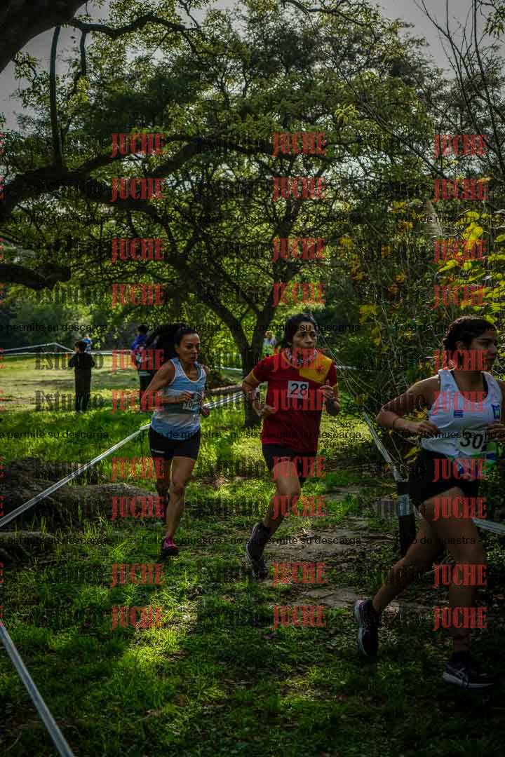 Fotos en el circuito