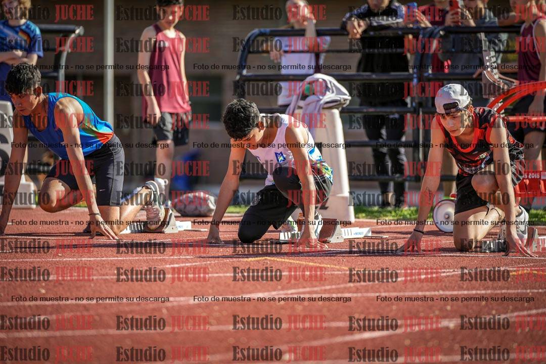 Fotos de los 110 m con vallas de varones