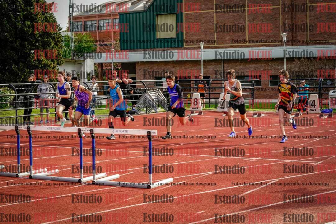 Fotos de los 110 m con vallas de varones