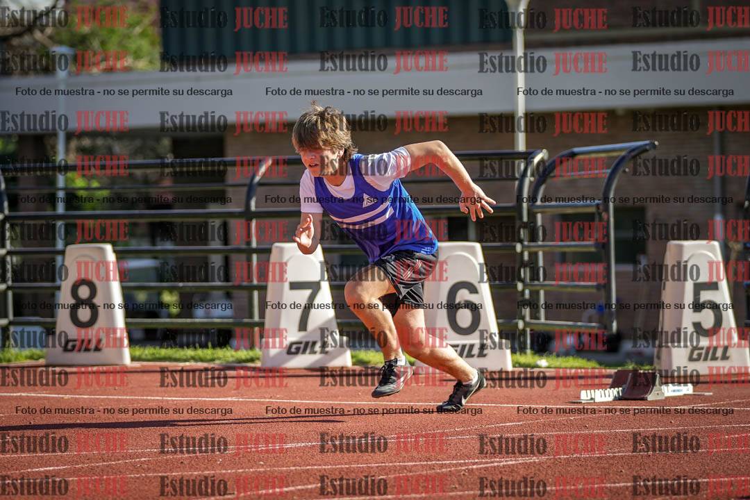 Fotos de los 110 m con vallas de varones