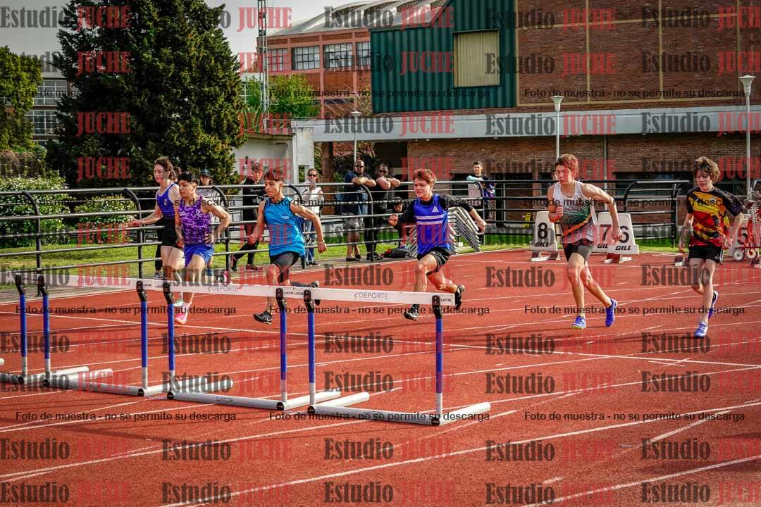 Fotos de los 110 m con vallas de varones