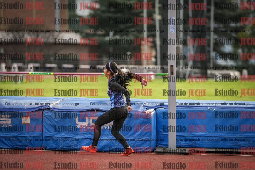 Fotos del salto en alto - todos los grupos