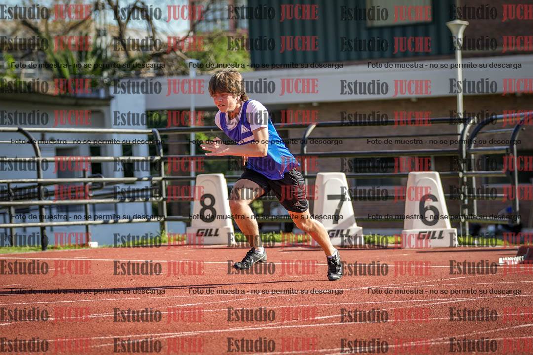 Fotos de los 110 m con vallas de varones