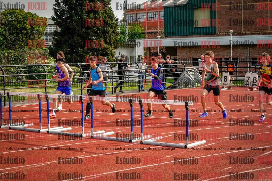 Fotos de los 110 m con vallas de varones