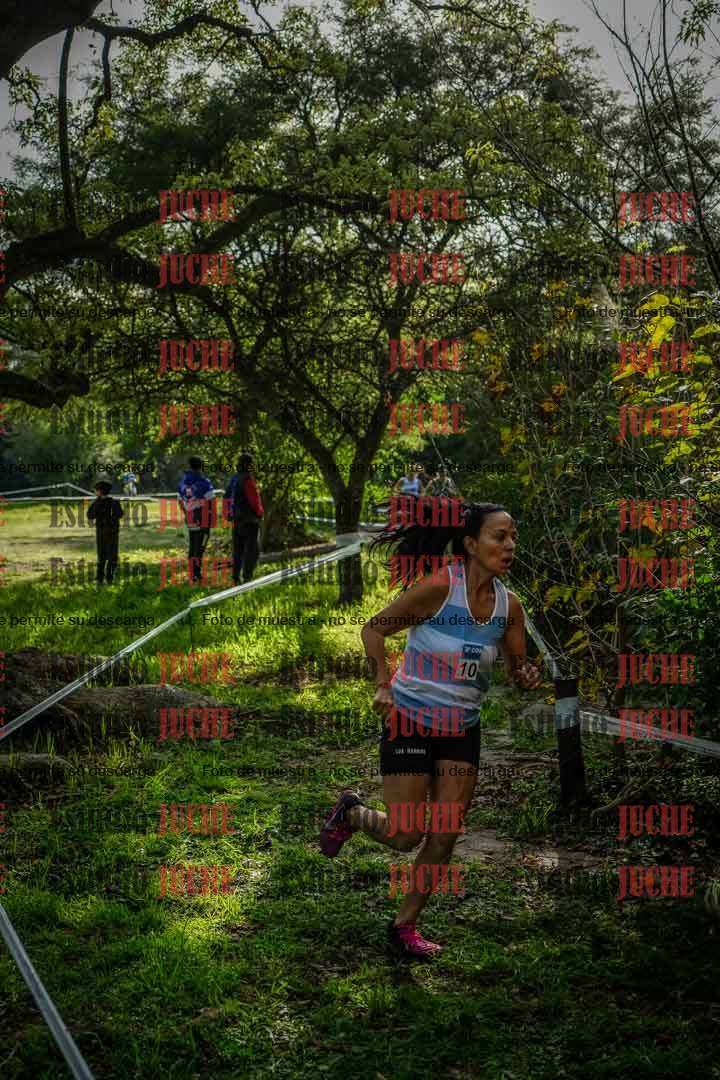 Fotos en el circuito