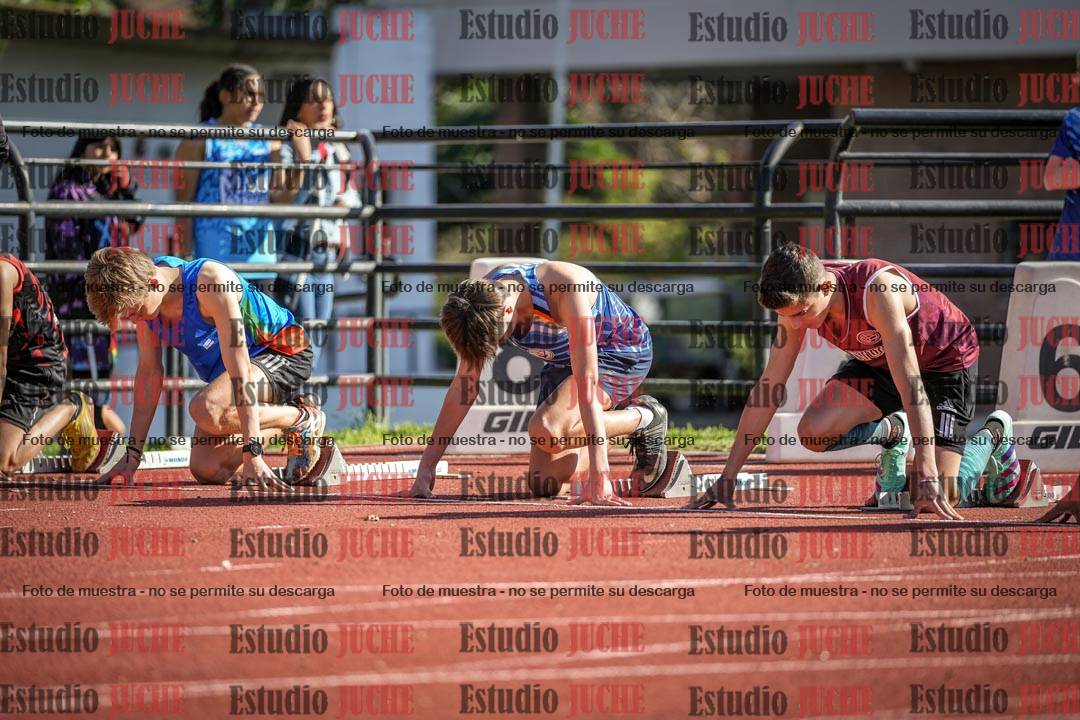 Fotos de los 110 m con vallas de varones