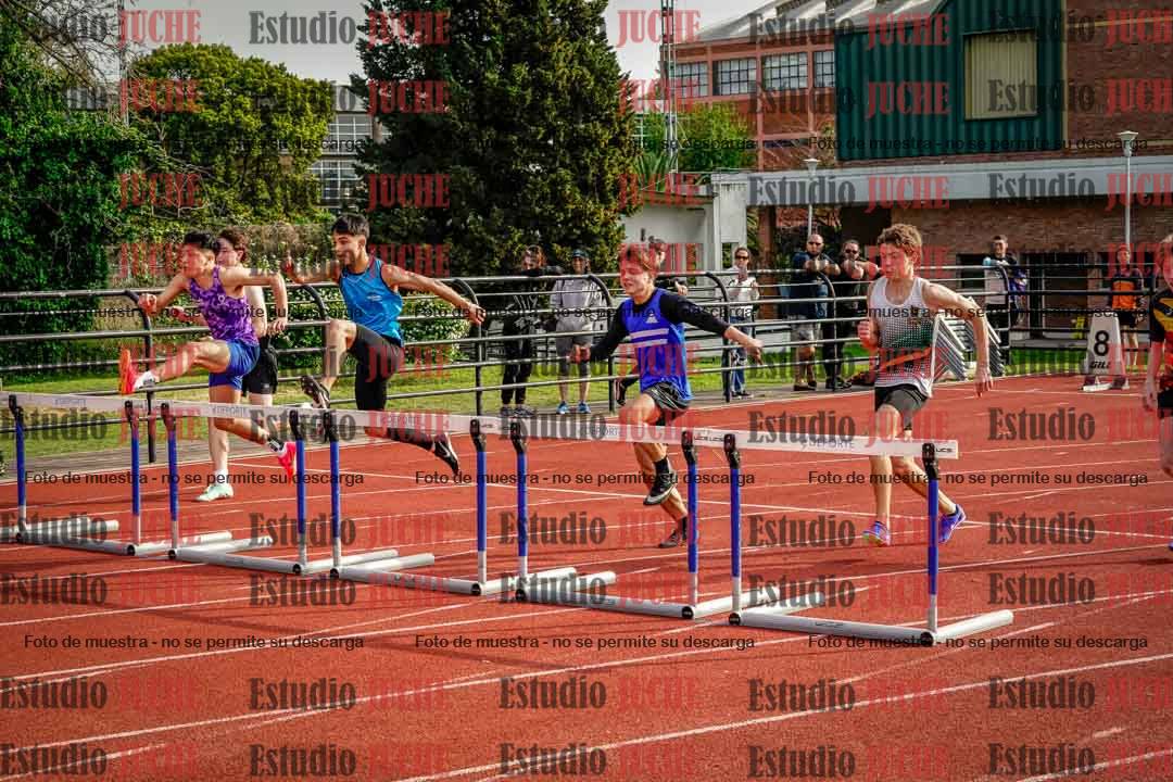 Fotos de los 110 m con vallas de varones