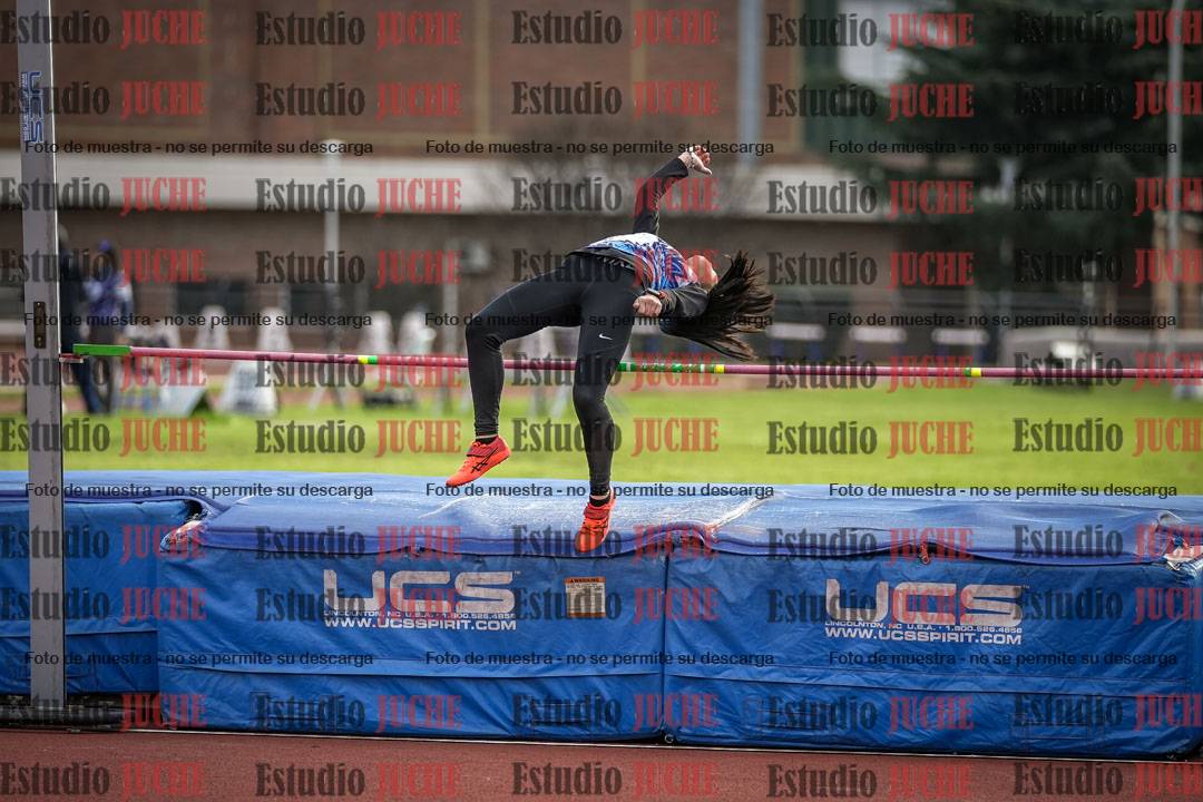 Fotos del salto en alto - todos los grupos