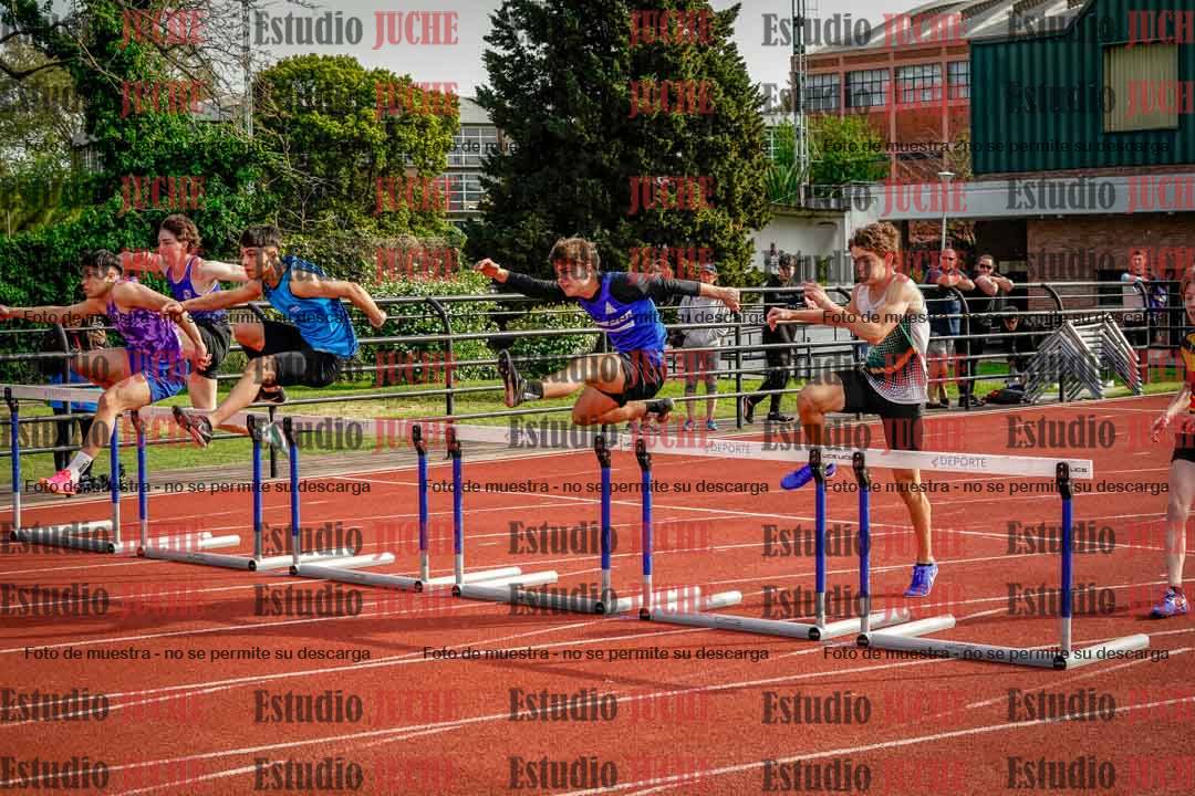 Fotos de los 110 m con vallas de varones