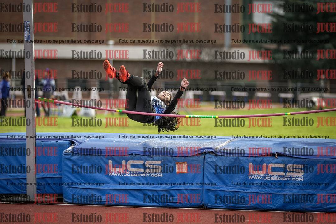 Fotos del salto en alto - todos los grupos