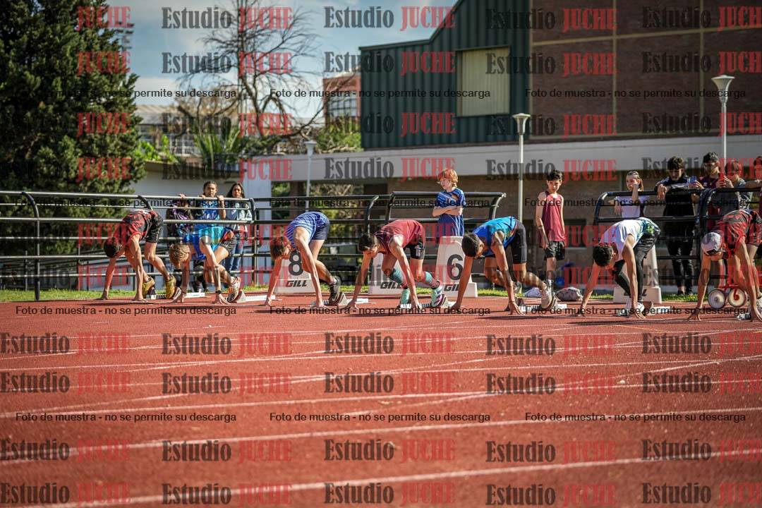 Fotos de los 110 m con vallas de varones