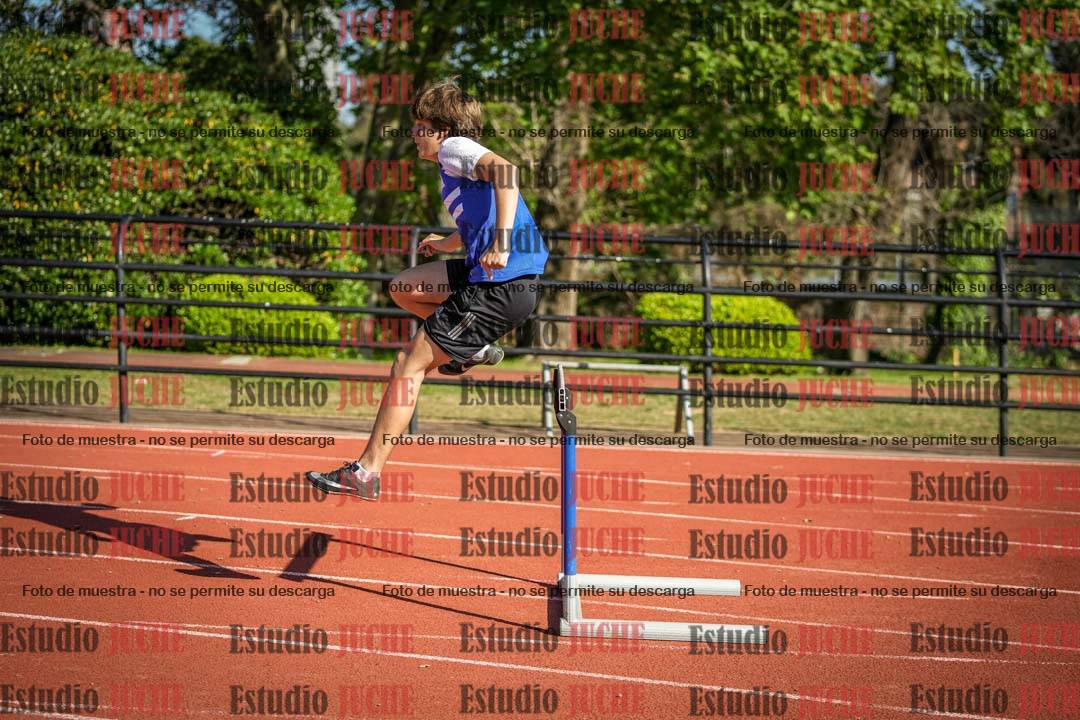 Fotos de los 110 m con vallas de varones