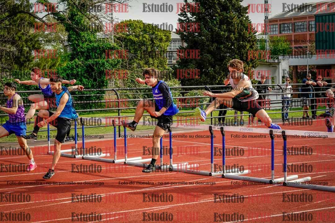 Fotos de los 110 m con vallas de varones