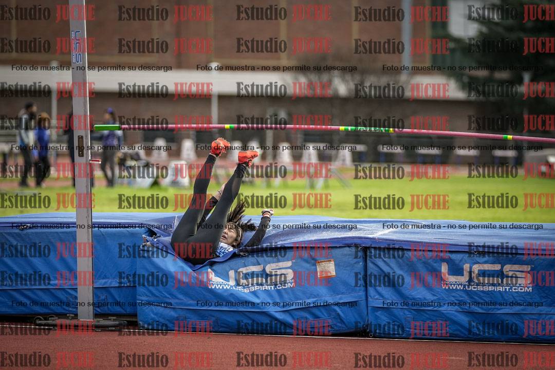 Fotos del salto en alto - todos los grupos
