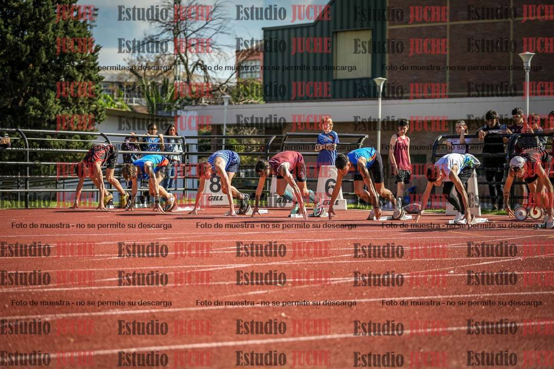 Fotos de los 110 m con vallas de varones