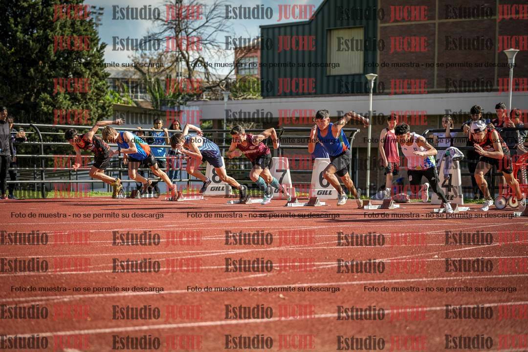 Fotos de los 110 m con vallas de varones