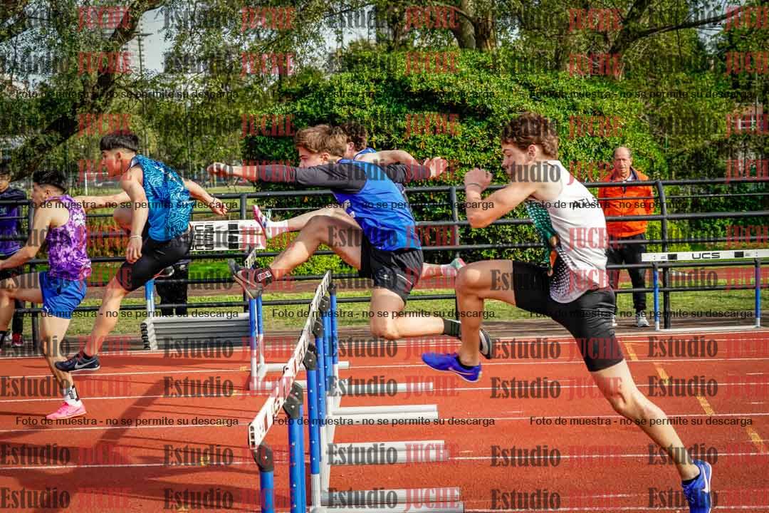 Fotos de los 110 m con vallas de varones