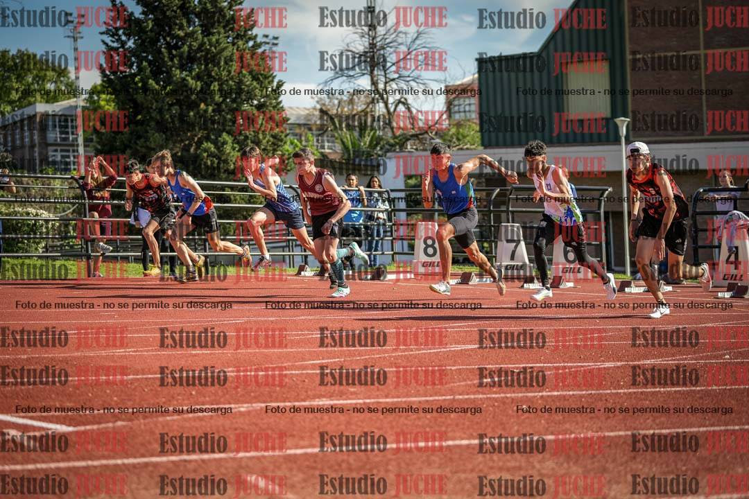 Fotos de los 110 m con vallas de varones
