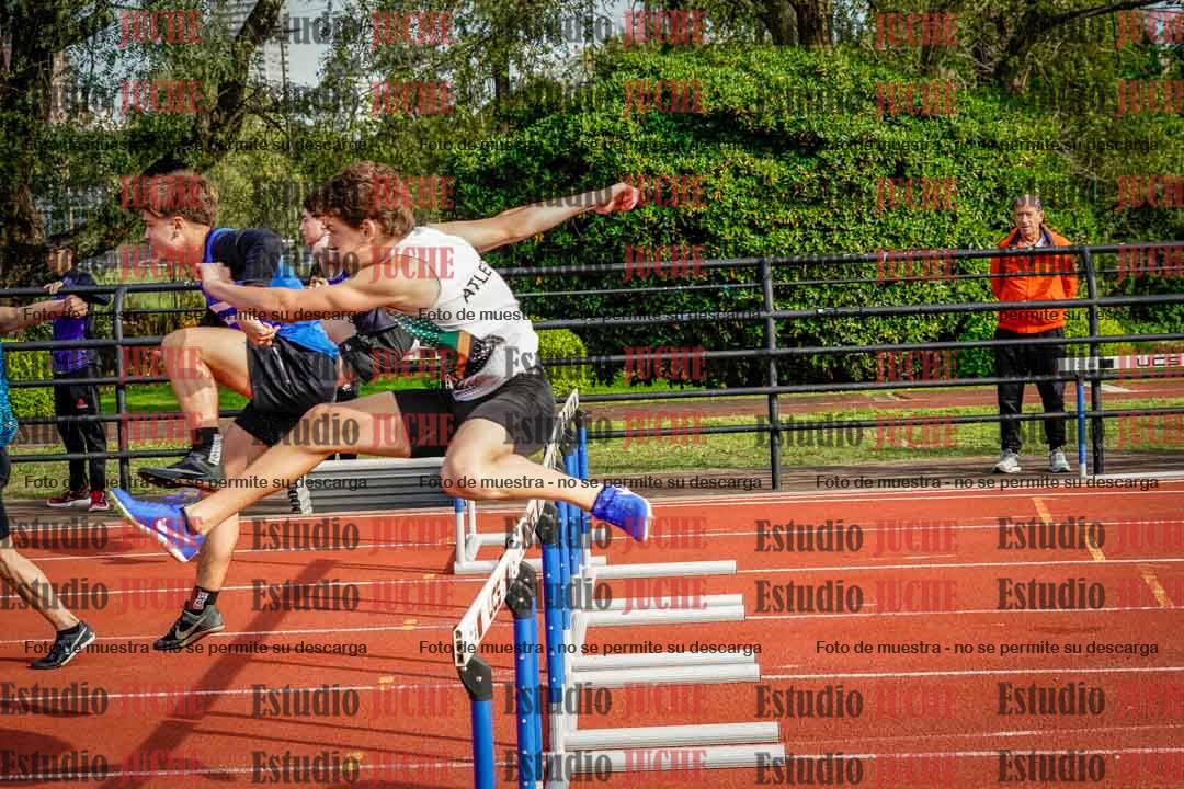 Fotos de los 110 m con vallas de varones