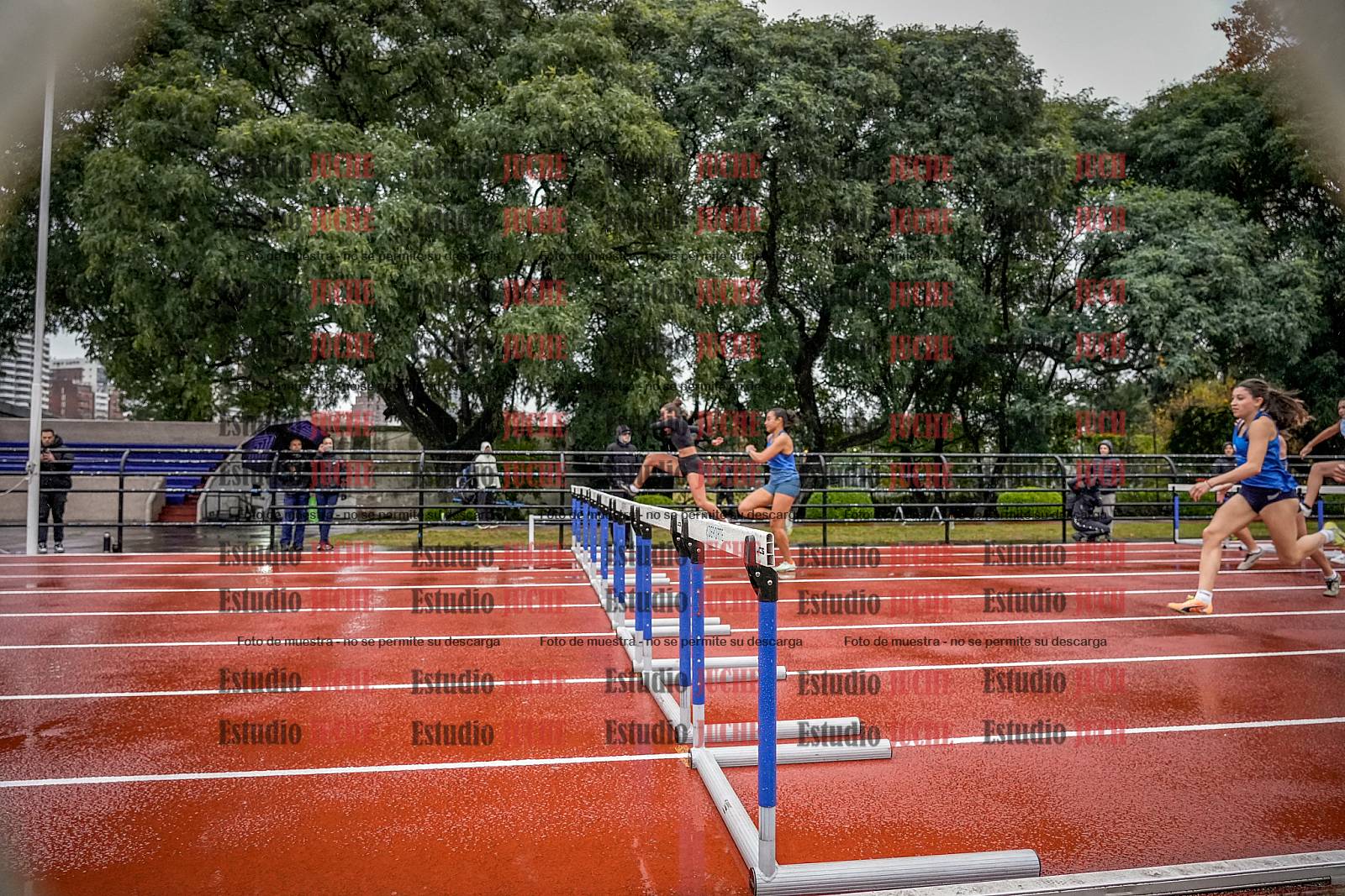 Fotos de los 100 m con vallas de mujeres - heptatlón 1