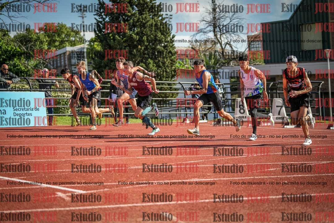 Fotos de los 110 m con vallas de varones