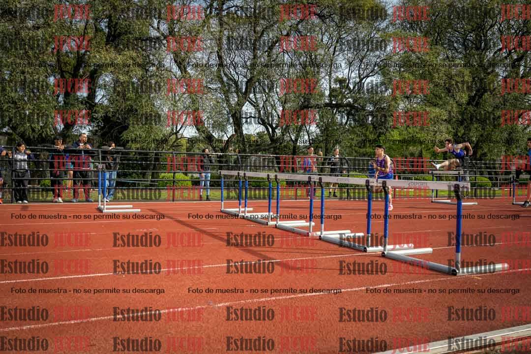 Fotos de los 110 m con vallas de varones