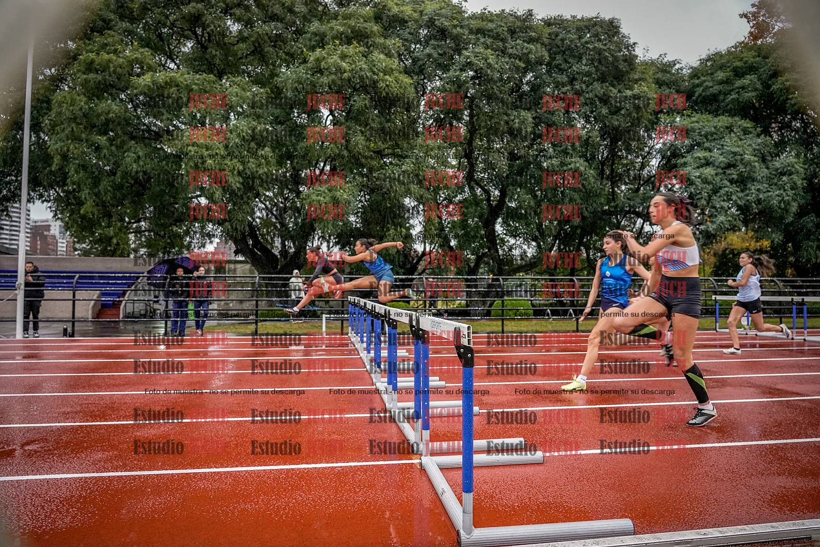 Fotos de los 100 m con vallas de mujeres - heptatlón 1