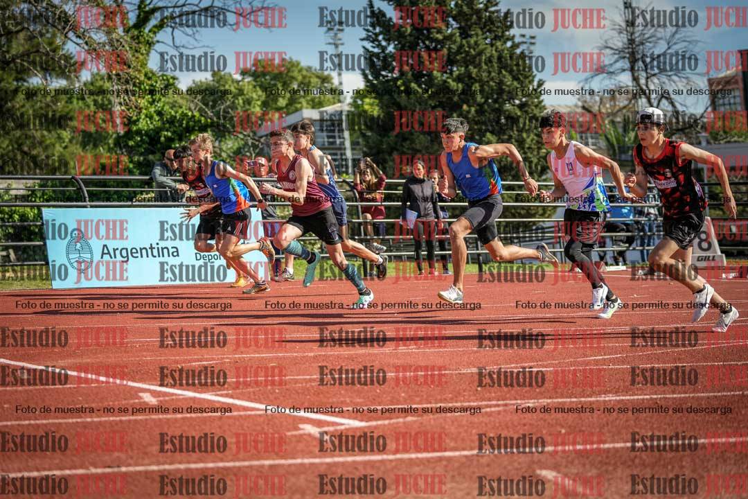 Fotos de los 110 m con vallas de varones