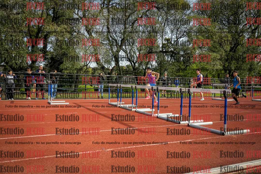 Fotos de los 110 m con vallas de varones