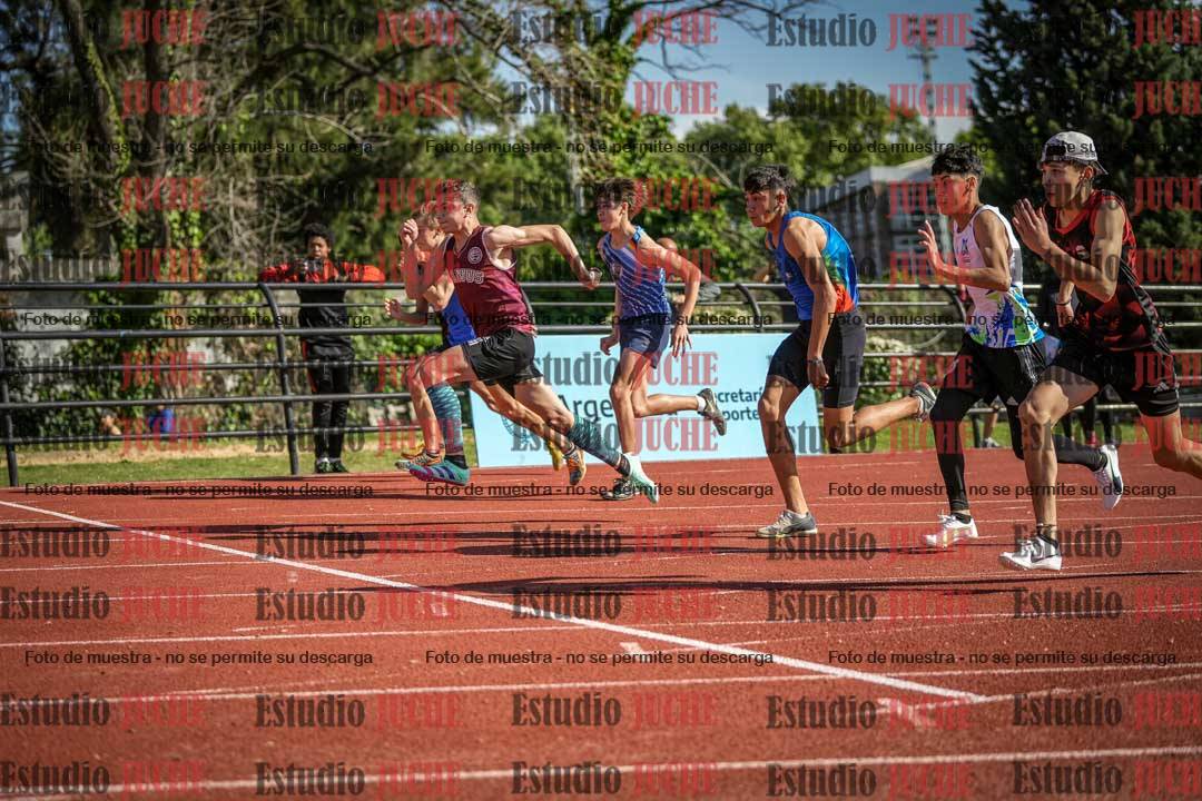 Fotos de los 110 m con vallas de varones